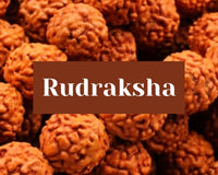 Rudraksha vertus, bienfaits, propriétés