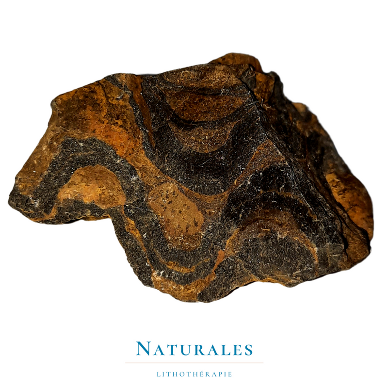 Stromatolite brute - pierre naturelle - Naturales.fr