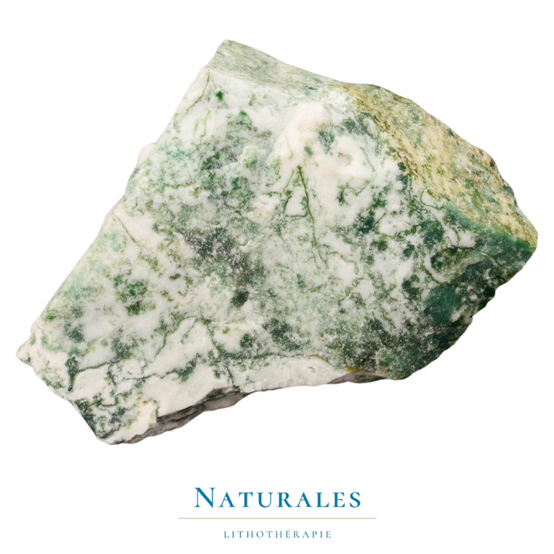 Agate arbre brute - pierre naturelle - lithothérapie - Naturales.fr