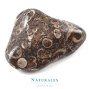 Agate turitelle roulée - lithothérapie - Naturales