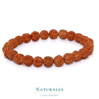 Bracelet Rudraksha - Spiritualité profonde - Naturales.fr