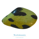 Jaspe tortuga - serpentinite roulée