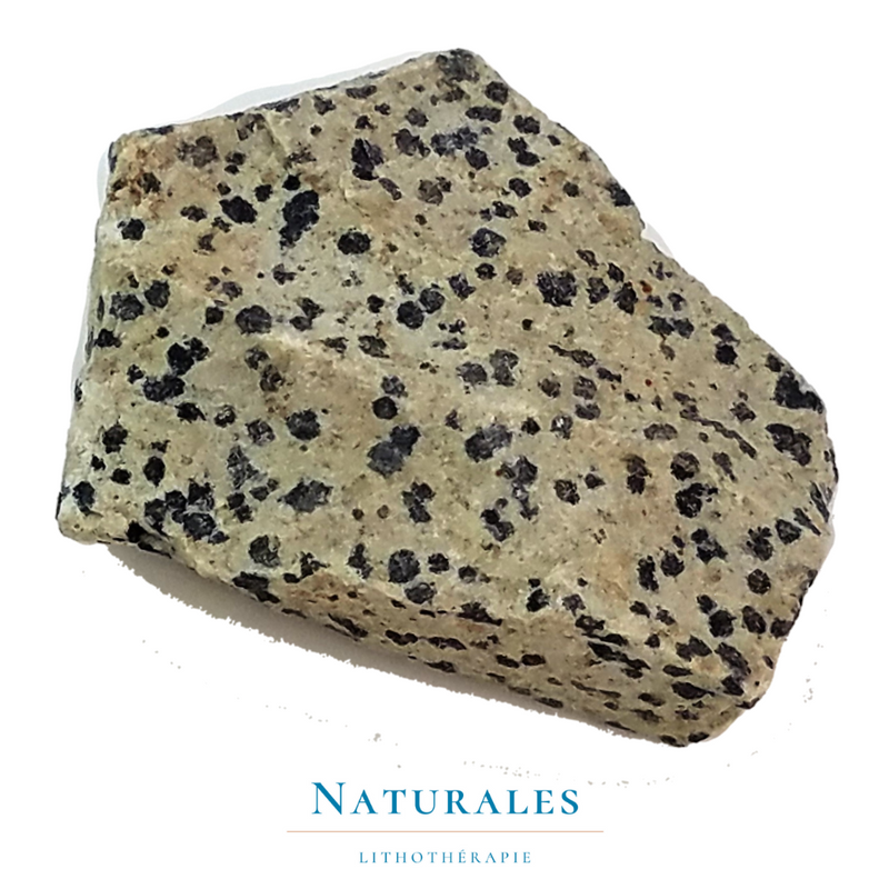 Jaspe dalmatien brut - pierre naturelle - Naturales.fr