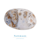 jaspe océan roulé avec des motifs orbiculaires