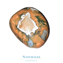 Jaspe forêt tropicale (Rhyolite) - pierre roulée - lithothérapie - Naturales.fr