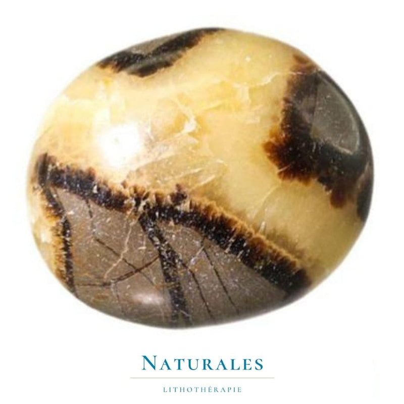 Septaria pierre du dragon | Lithothérapie | Naturales.fr